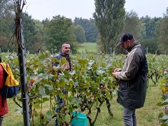 vendanges2022
