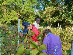 vendanges2023